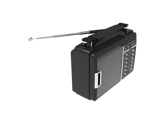 Радиоприемник Ritmix RPR-190