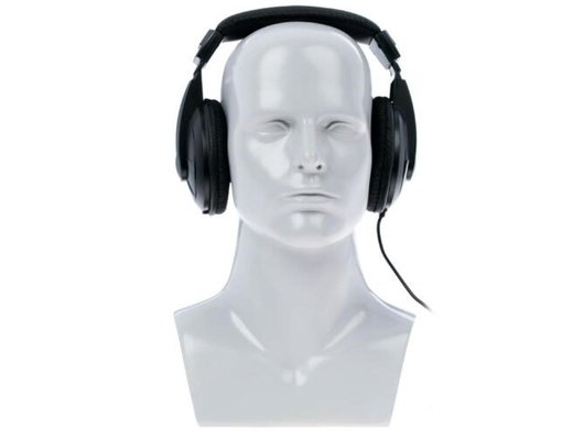 Наушники полноразмерные Ritmix RH-524TV