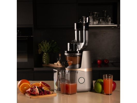 Шнековая соковыжималка GARLYN J-700 Pro