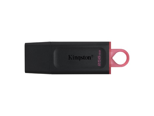 USB Флеш Kingston 256GB USB 3.2 DataTraveler Exodia DTX/256GB