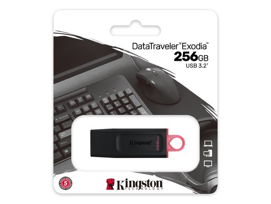 USB Флеш Kingston 256GB USB 3.2 DataTraveler Exodia DTX/256GB