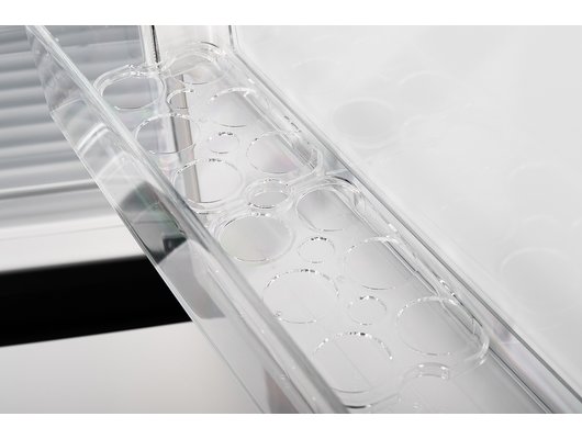 Холодильник LERAN CBF 206 W NF