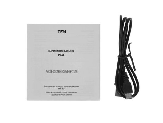 Портативная акустика TFN PLAY BLACK