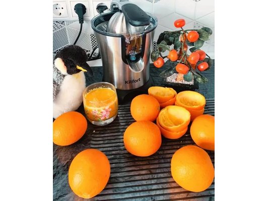 Соковыжималка KITFORT КТ-1108