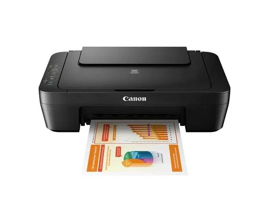 МФУ Canon Pixma MG2540S (ПИ)