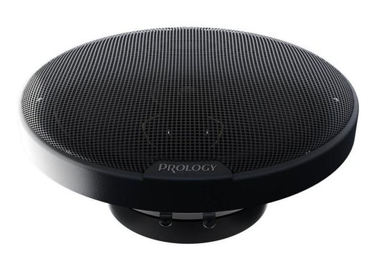 Колонки PROLOGY PX-165