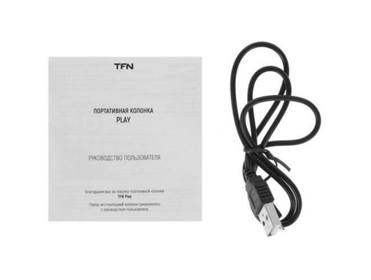 Портативная акустика TFN PLAY GRAY