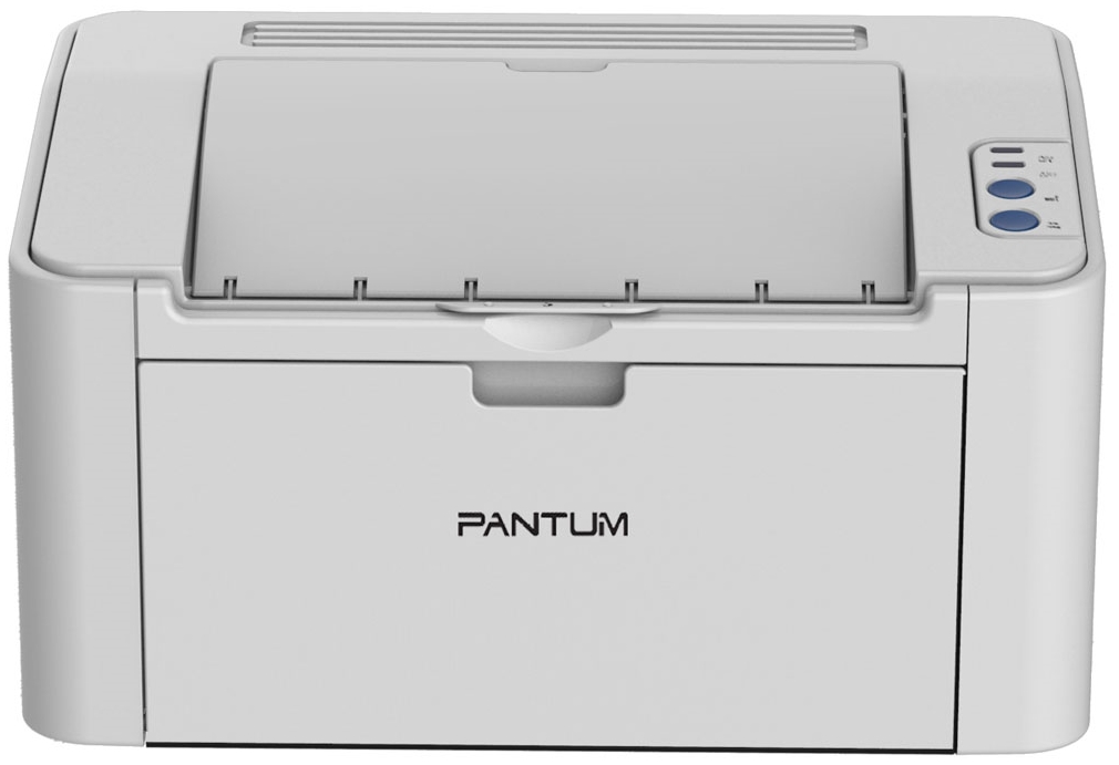 Принтер Pantum Pantum P2200, цвет чернобелая 285274 - фото 1